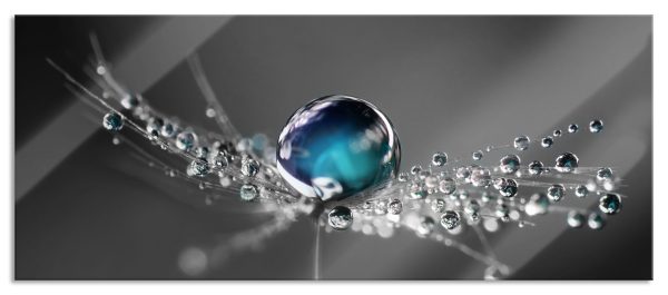 Wassertropfen auf einer Pusteblume, Glasbild Panorama Online-Schn?ppchen